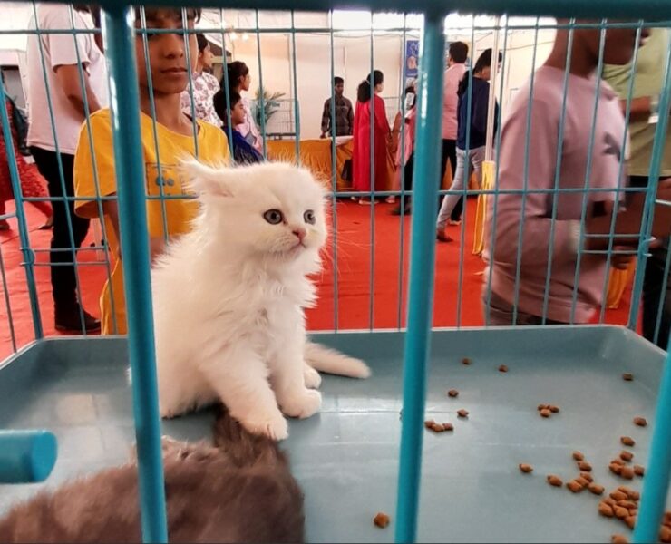 WhatsApp Image 2025-01-08 at 16.30.33_f9ccceea