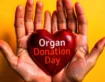 Celebrating Organ Donation Day on August 13th, 2024